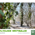 photo du concours Paysages quevillais