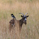 photo du concours Paysages quevillais