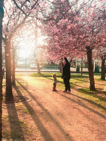 photo du concours paysages quevillais montrant des arbres et des personnages