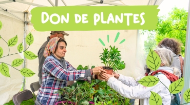 don de plantes