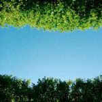 BLANC-Jean-Jacques-