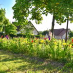 COULON Alain